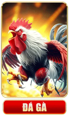 Đá gà 68win