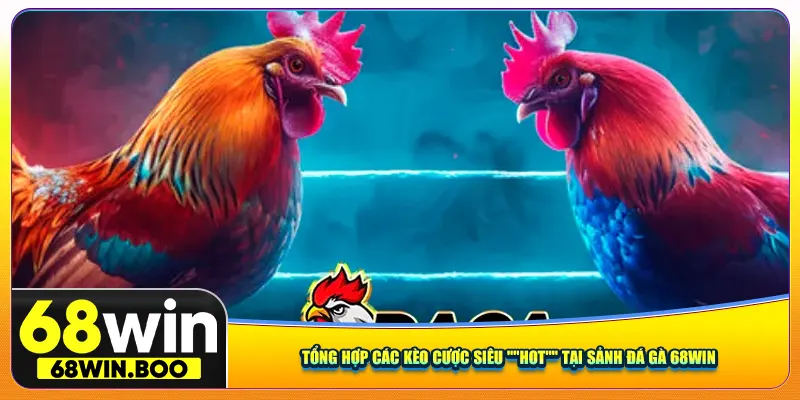 Tổng hợp các kèo cược siêu "HOT" tại sảnh đá gà 68win